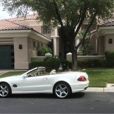 garage-doors-modern-with-side-lights-2x